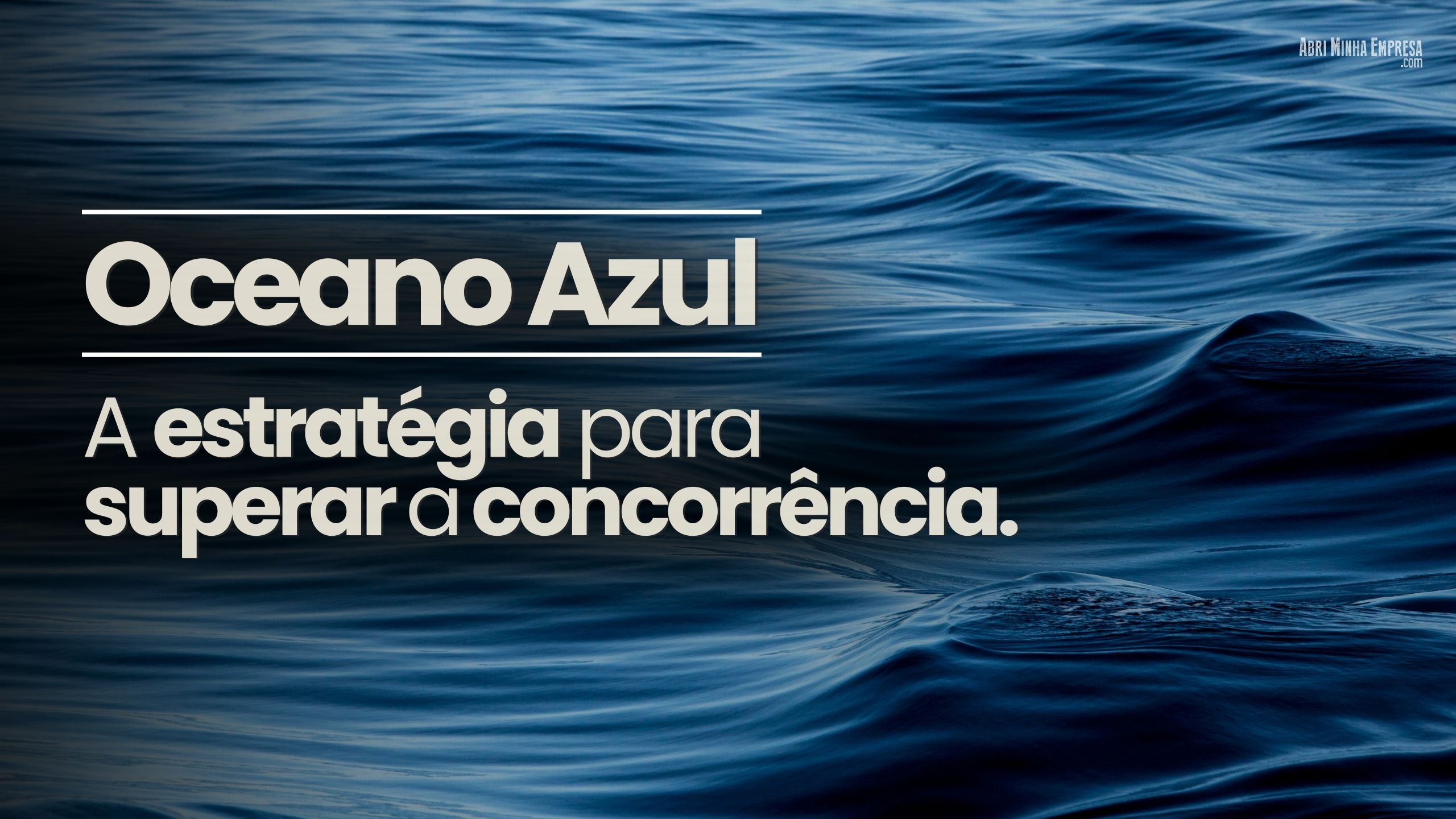 faca isso para ganhar da concorrencia oceano azul 2 - FAÇA ISSO PARA GANHAR DA CONCORRÊNCIA (Oceano Azul)