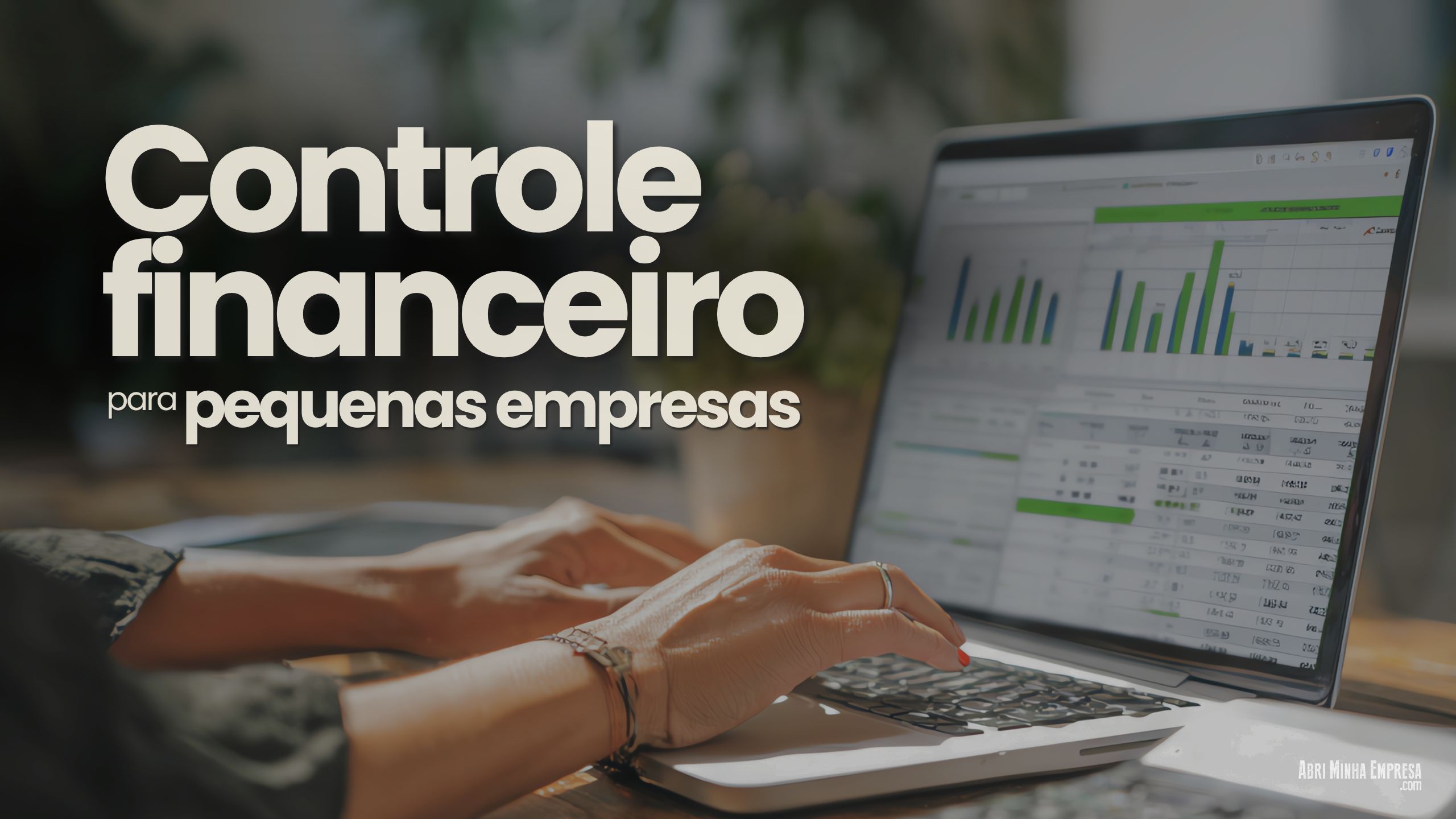 Como Organizar as Financas da sua Pequena Empresa 3 - Como Organizar as Finanças da sua Pequena Empresa